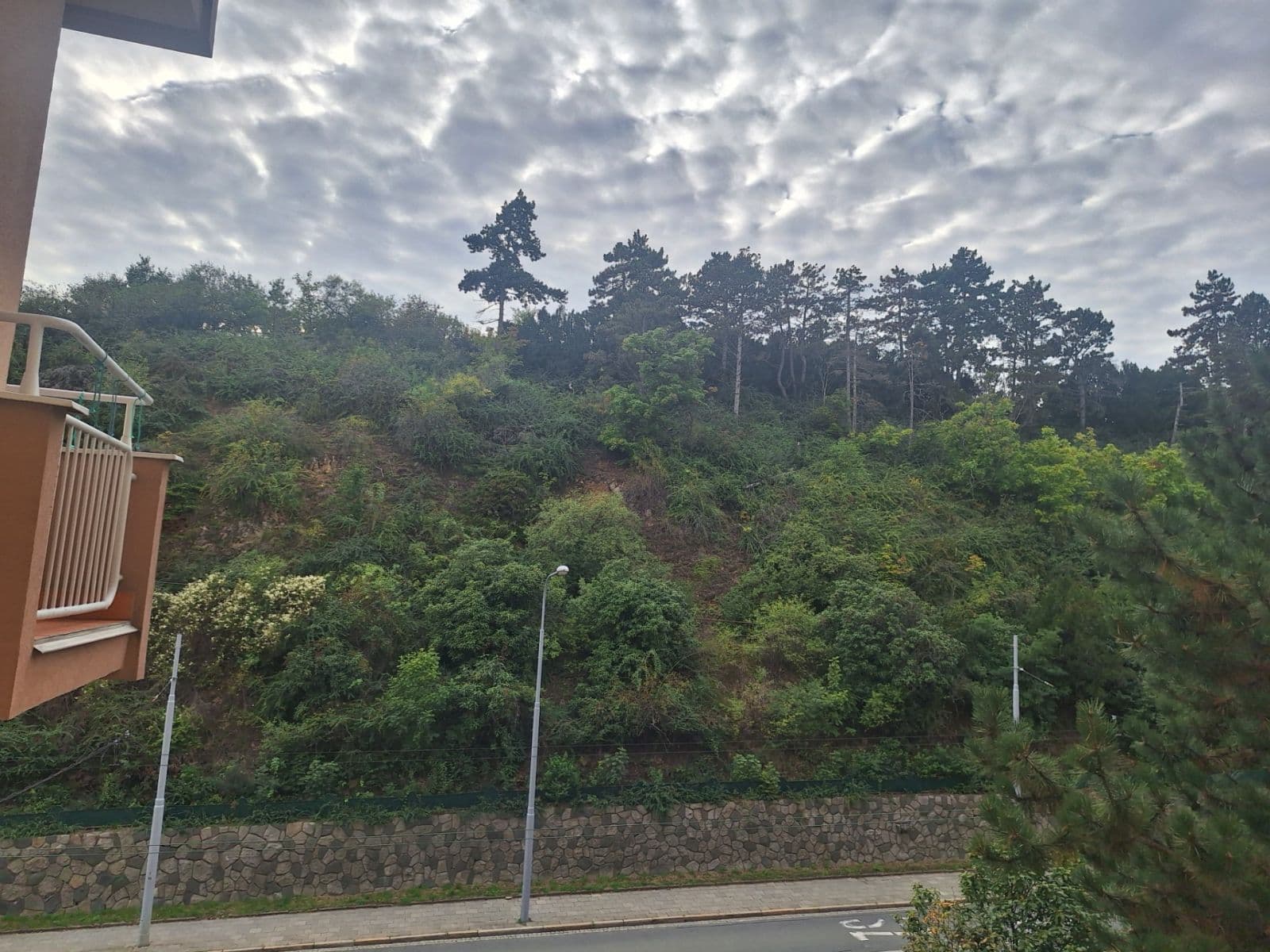 Pronájem bytu 2+1 57 m², Úvoz, Brno, Jihomoravský kraj Pronájem bytu 2+1 57 m², Úvoz, Brno, Jihomoravský kraj