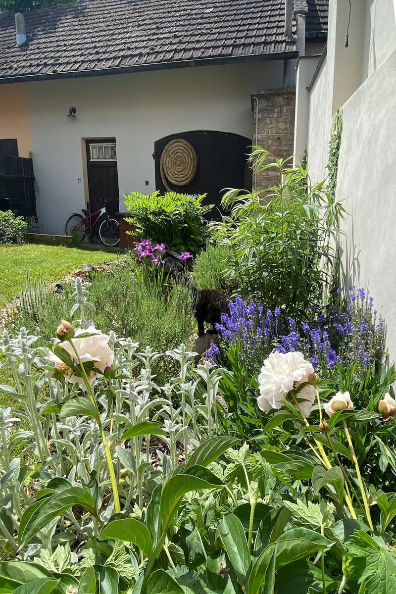 Prodej domu 80 m², pozemek 265 m², Ovčáry, Středočeský kraj Prodej domu 80 m², pozemek 265 m², Ovčáry, Středočeský kraj