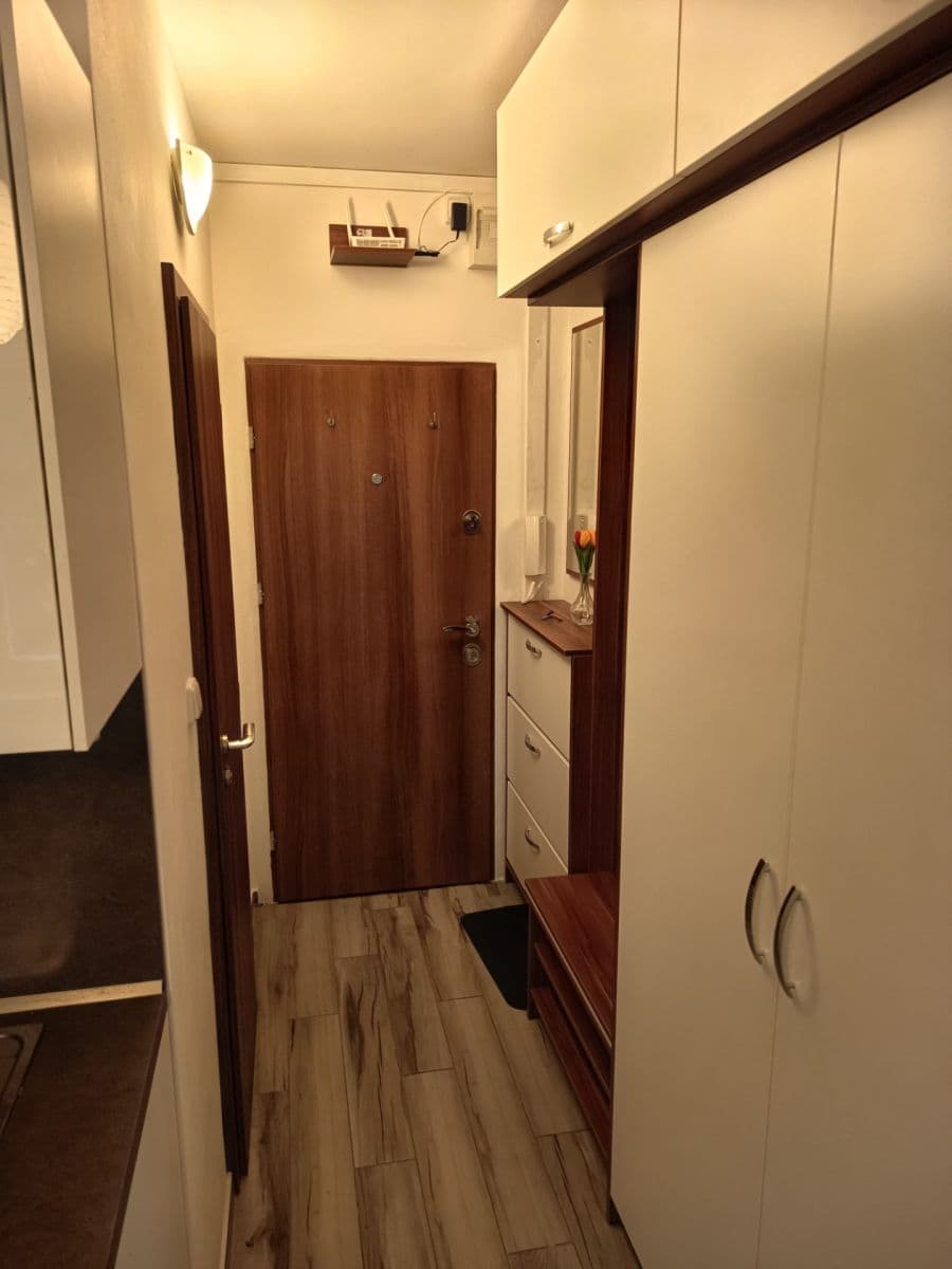 Pronájem bytu 1+1 32 m², Wollmanova, Brno, Jihomoravský kraj Pronájem bytu 1+1 32 m², Wollmanova, Brno, Jihomoravský kraj