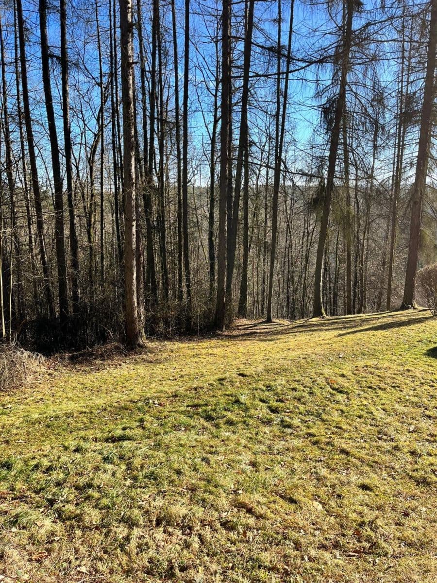 Prodej domu 50 m², pozemek 400 m², Boršov nad Vltavou, Jihočeský kraj Prodej domu 50 m², pozemek 400 m², Boršov nad Vltavou, Jihočeský kraj