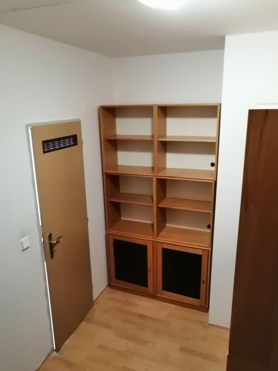 Pronájem bytu 2+kk 47 m², třída Generála Píky, Brno, Jihomoravský kraj Pronájem bytu 2+kk 47 m², třída Generála Píky, Brno, Jihomoravský kraj