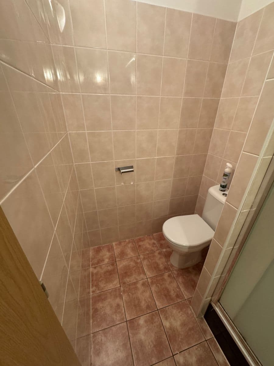 Pronájem bytu 2+kk 47 m², třída Generála Píky, Brno, Jihomoravský kraj Pronájem bytu 2+kk 47 m², třída Generála Píky, Brno, Jihomoravský kraj