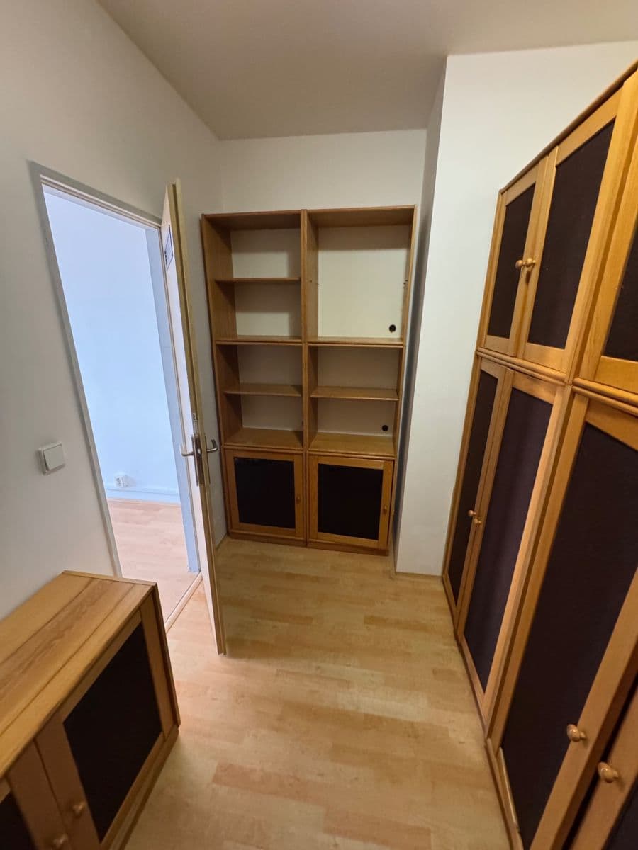 Pronájem bytu 2+kk 47 m², třída Generála Píky, Brno, Jihomoravský kraj Pronájem bytu 2+kk 47 m², třída Generála Píky, Brno, Jihomoravský kraj