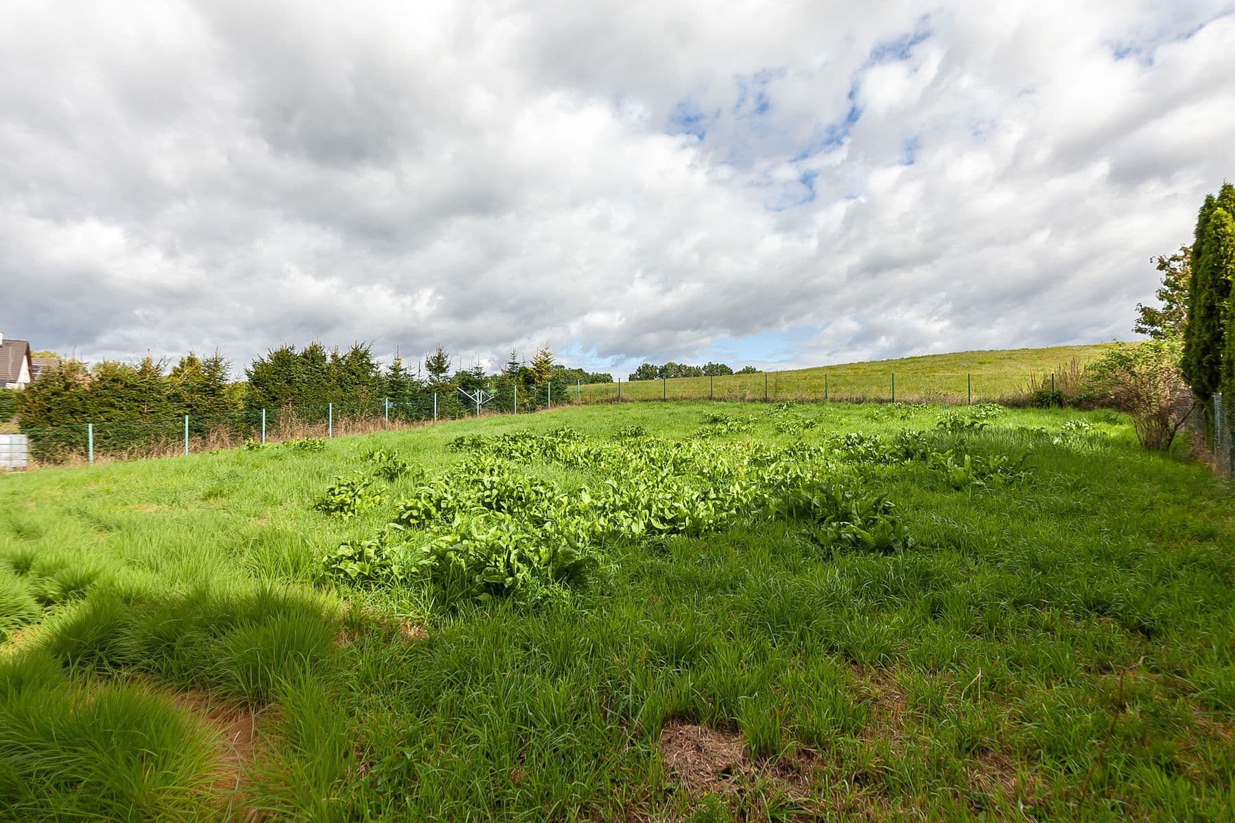 Prodej domu 130 m², pozemek 1.132 m², Horní Libchava, Liberecký kraj Prodej domu 130 m², pozemek 1.132 m², Horní Libchava, Liberecký kraj