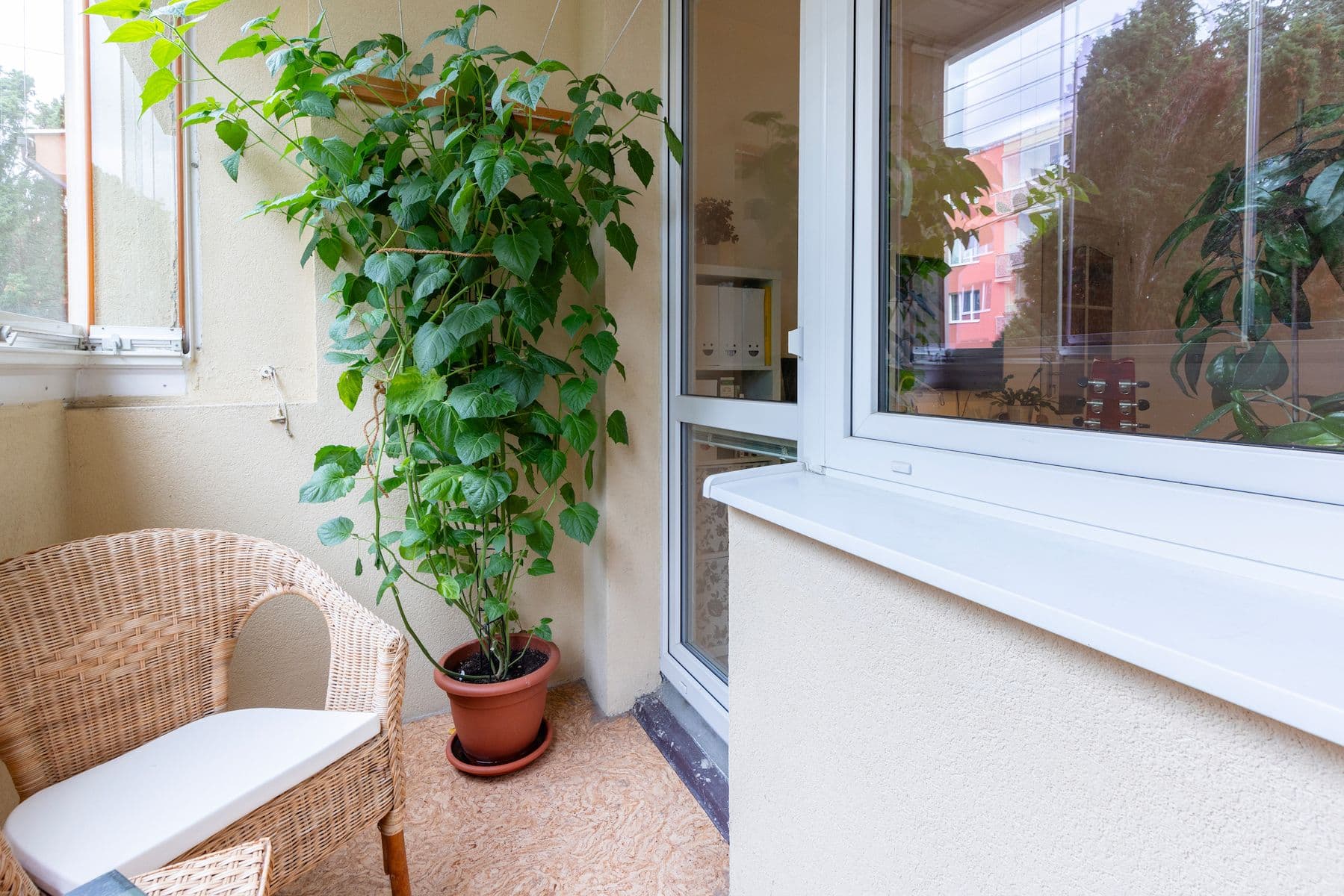 Prodej bytu 3+1 70 m², Tasovská, Praha, Praha Prodej bytu 3+1 70 m², Tasovská, Praha, Praha