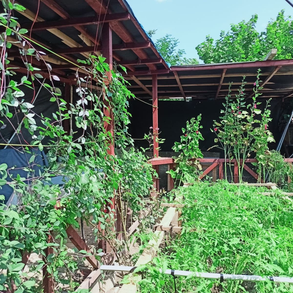 Prodej chaty, chalupy 30 m², pozemek 800 m², Velemín, Ústecký kraj Prodej chaty, chalupy 30 m², pozemek 800 m², Velemín, Ústecký kraj