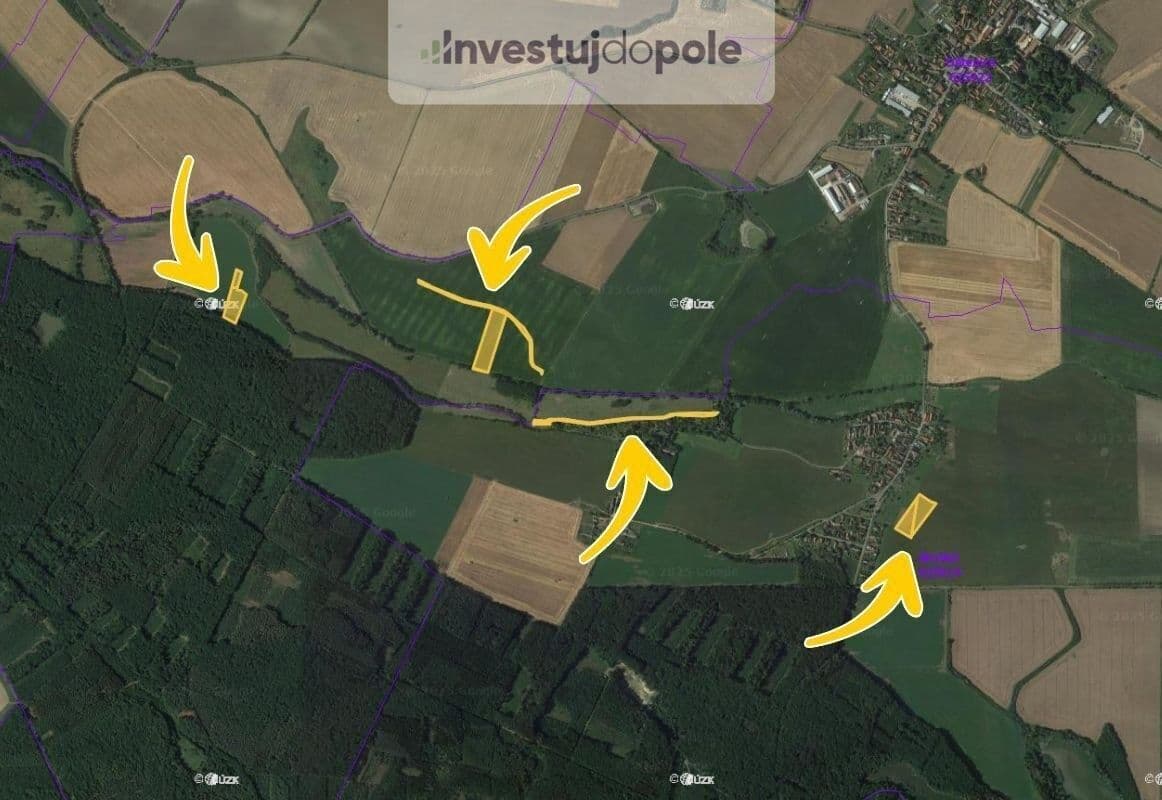 Prodej pozemku 25.466 m², Dětenice, Královéhradecký kraj Prodej pozemku 25.466 m², Dětenice, Královéhradecký kraj