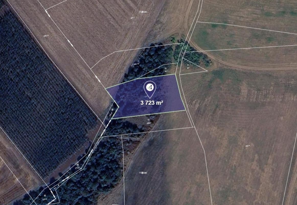 Prodej pozemku 3.723 m², Nové Sedlo, Ústecký kraj Prodej pozemku 3.723 m², Nové Sedlo, Ústecký kraj