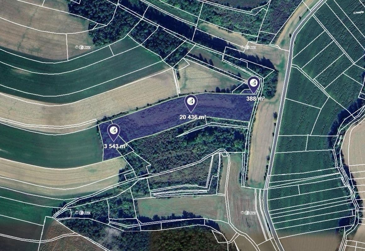 Prodej pozemku 24.367 m², Polepy, Ústecký kraj Prodej pozemku 24.367 m², Polepy, Ústecký kraj