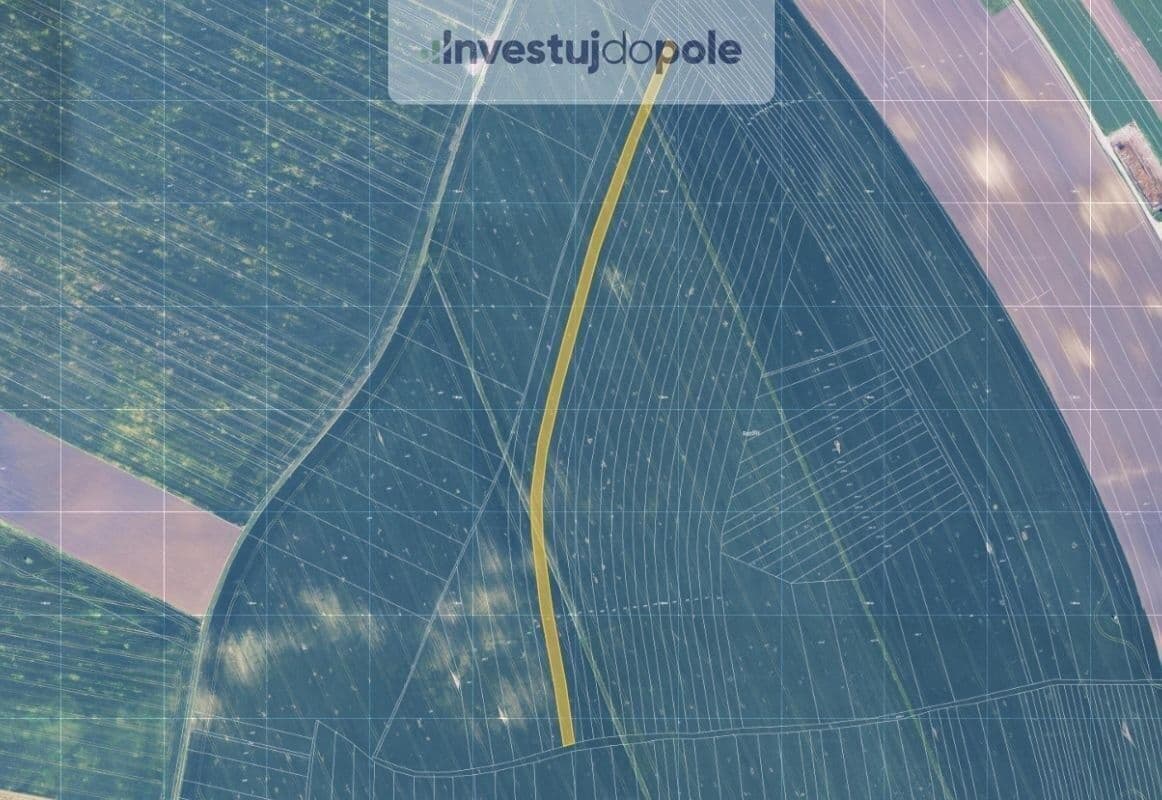 Prodej pozemku 27.553 m², Křepice, Jihomoravský kraj Prodej pozemku 27.553 m², Křepice, Jihomoravský kraj