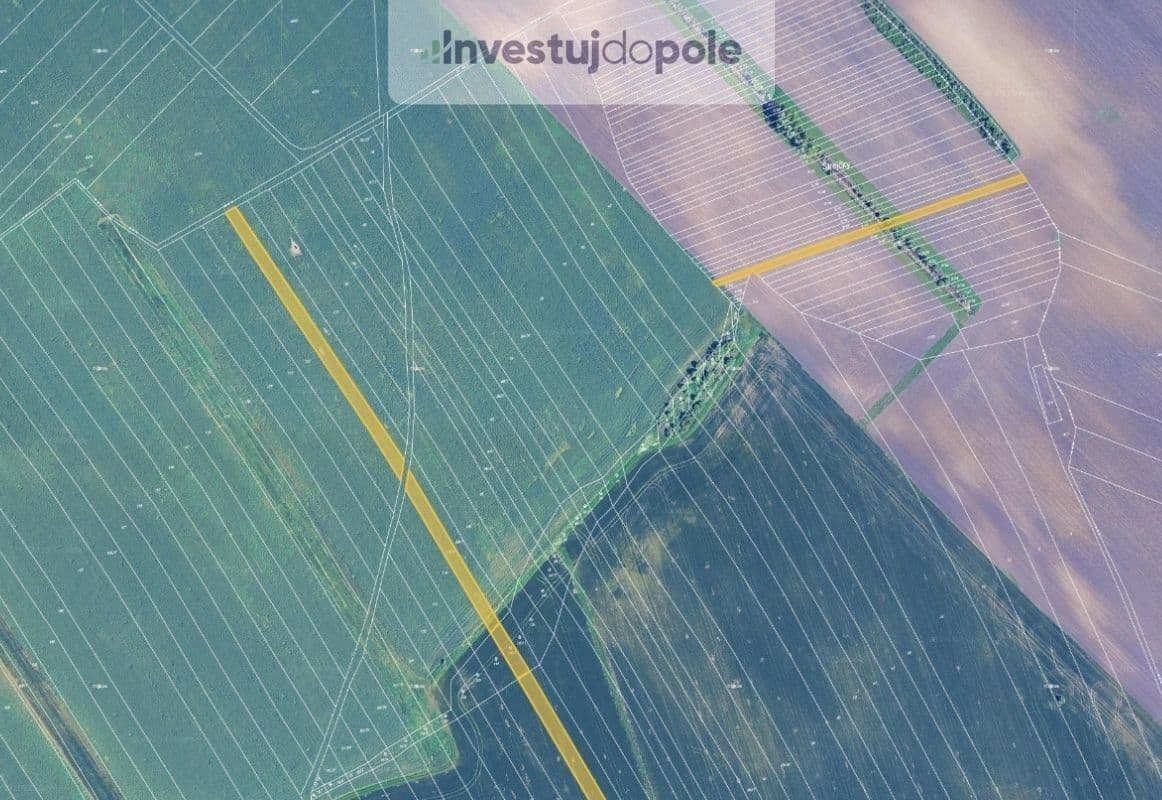 Prodej pozemku 27.553 m², Křepice, Jihomoravský kraj Prodej pozemku 27.553 m², Křepice, Jihomoravský kraj