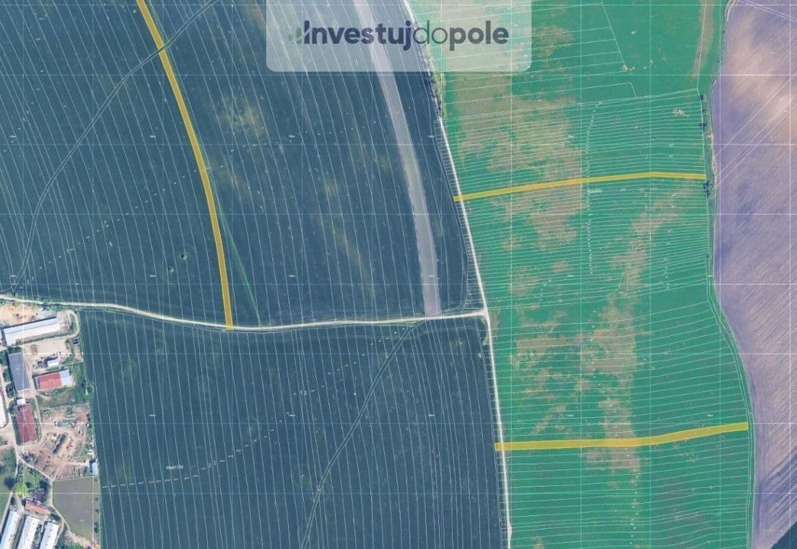 Prodej pozemku 27.553 m², Křepice, Jihomoravský kraj Prodej pozemku 27.553 m², Křepice, Jihomoravský kraj