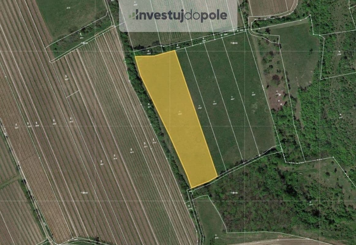 Prodej pozemku 8.391 m², Horní Věstonice, Jihomoravský kraj Prodej pozemku 8.391 m², Horní Věstonice, Jihomoravský kraj