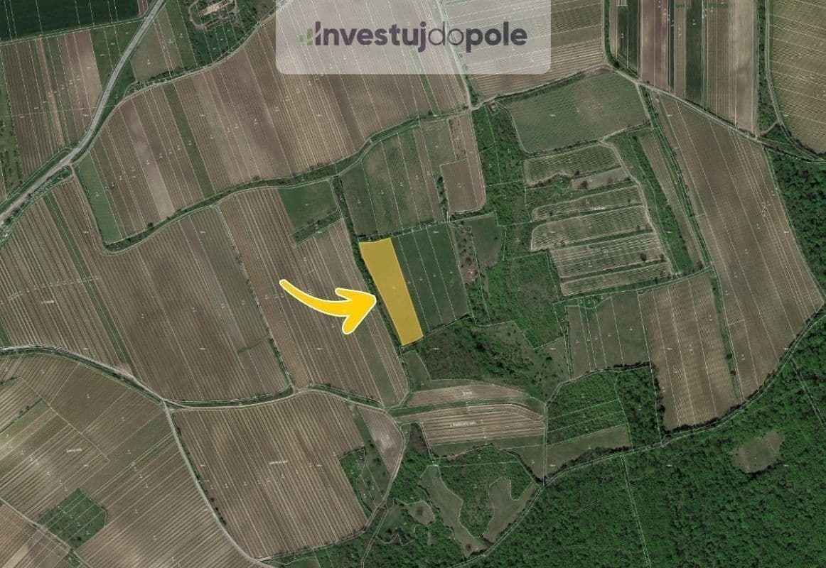 Prodej pozemku 8.391 m², Horní Věstonice, Jihomoravský kraj Prodej pozemku 8.391 m², Horní Věstonice, Jihomoravský kraj