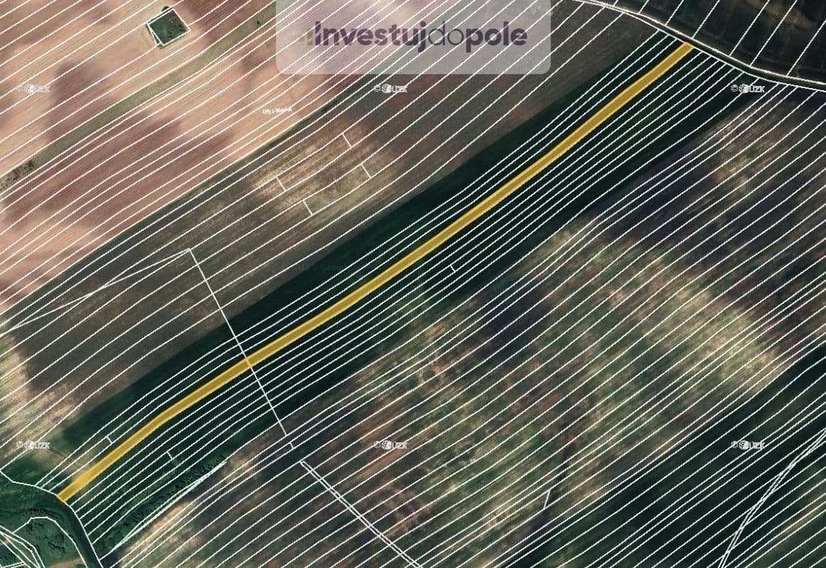 Prodej pozemku 6.540 m², Čejkovice, Jihomoravský kraj Prodej pozemku 6.540 m², Čejkovice, Jihomoravský kraj