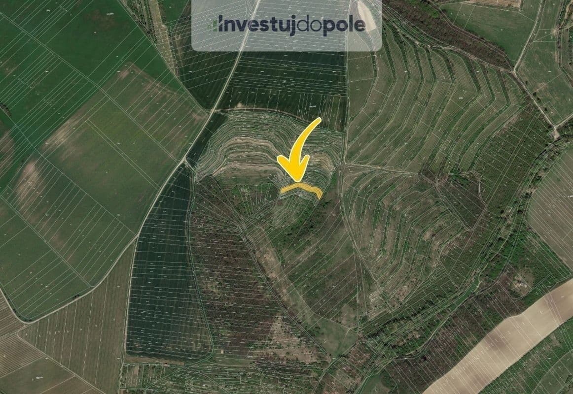 Prodej pozemku 1.606 m², Hustopeče, Jihomoravský kraj Prodej pozemku 1.606 m², Hustopeče, Jihomoravský kraj