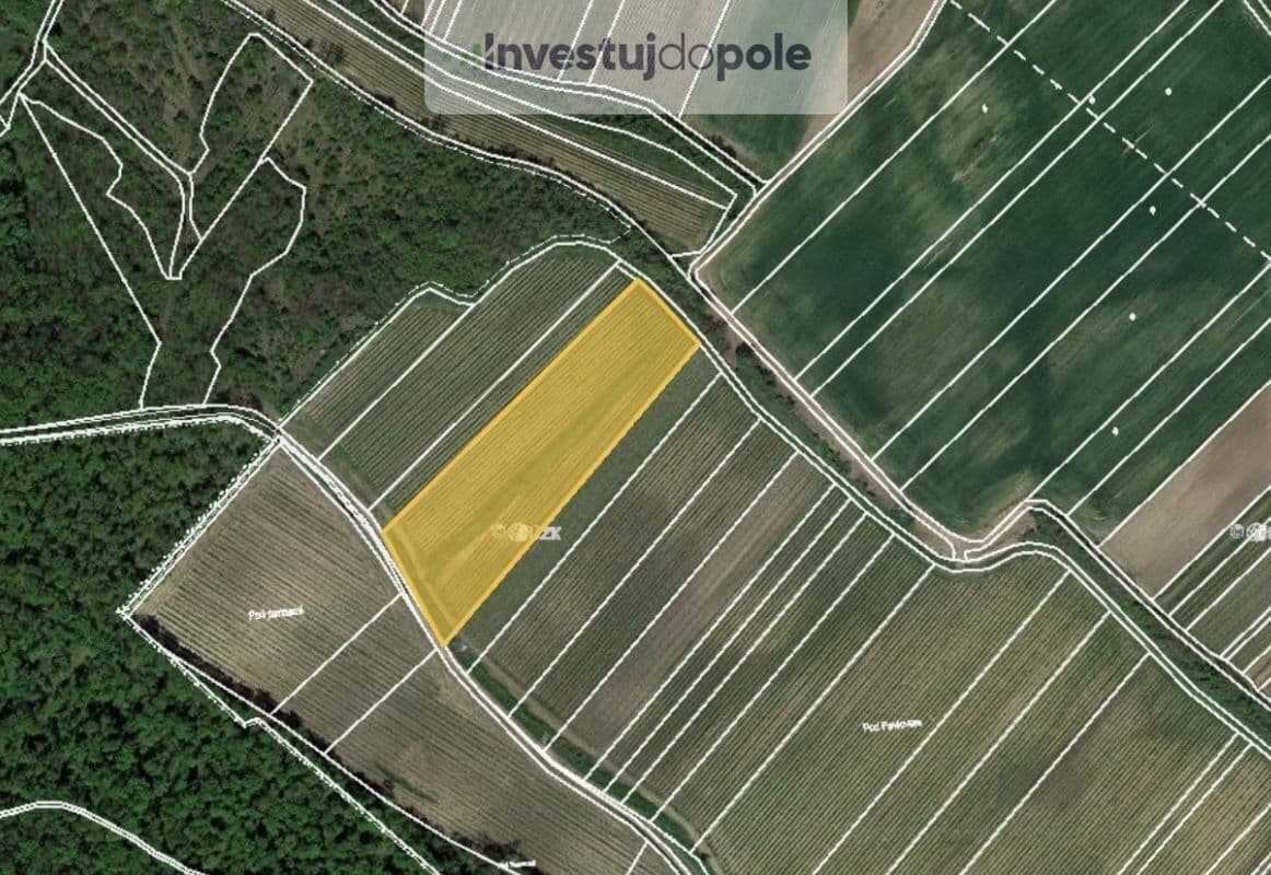 Prodej pozemku 1.767 m², Dolní Věstonice, Jihomoravský kraj Prodej pozemku 1.767 m², Dolní Věstonice, Jihomoravský kraj