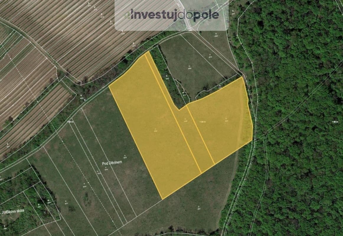 Prodej pozemku 24.706 m², Horní Věstonice, Jihomoravský kraj Prodej pozemku 24.706 m², Horní Věstonice, Jihomoravský kraj