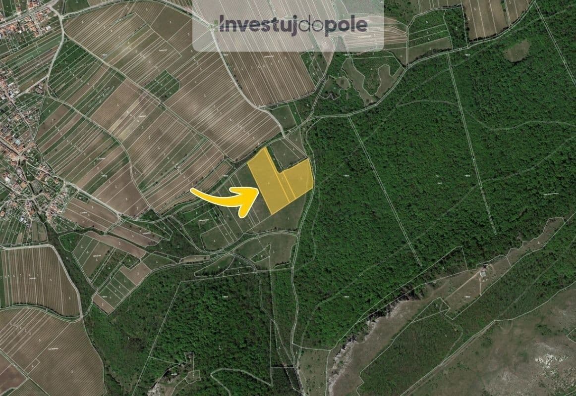 Prodej pozemku 24.706 m², Horní Věstonice, Jihomoravský kraj Prodej pozemku 24.706 m², Horní Věstonice, Jihomoravský kraj