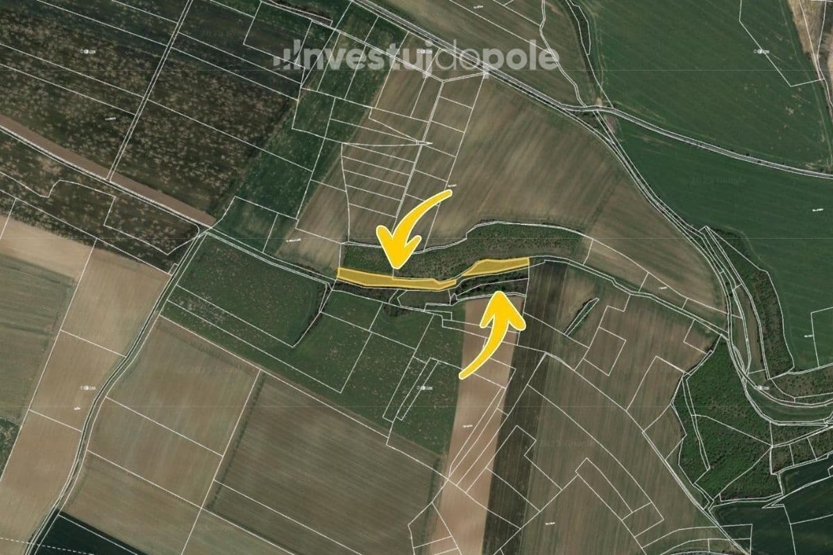 Prodej pozemku 7.967 m², Horky nad Jizerou, Středočeský kraj Prodej pozemku 7.967 m², Horky nad Jizerou, Středočeský kraj