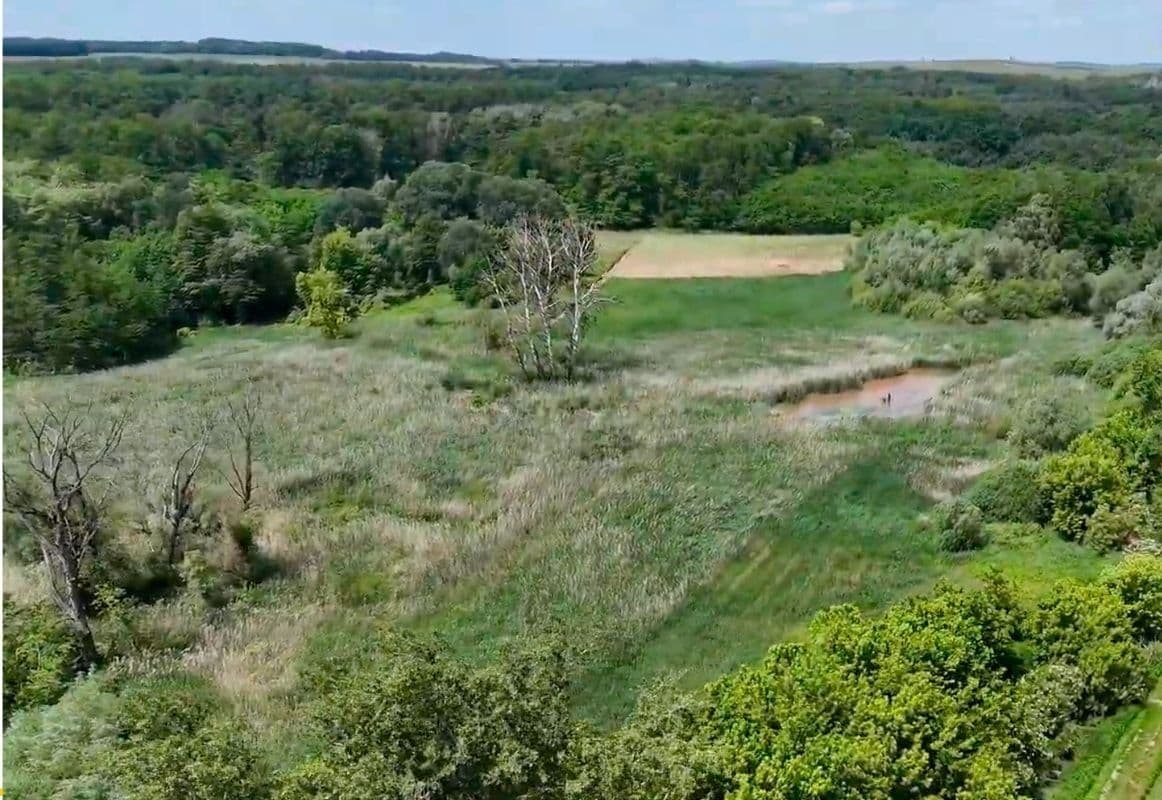 Prodej pozemku 21.655 m², Hovorany, Jihomoravský kraj Prodej pozemku 21.655 m², Hovorany, Jihomoravský kraj