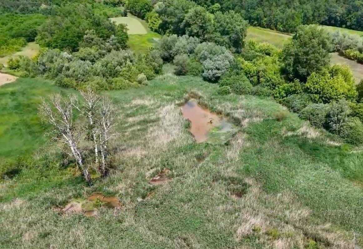 Prodej pozemku 21.655 m², Hovorany, Jihomoravský kraj Prodej pozemku 21.655 m², Hovorany, Jihomoravský kraj