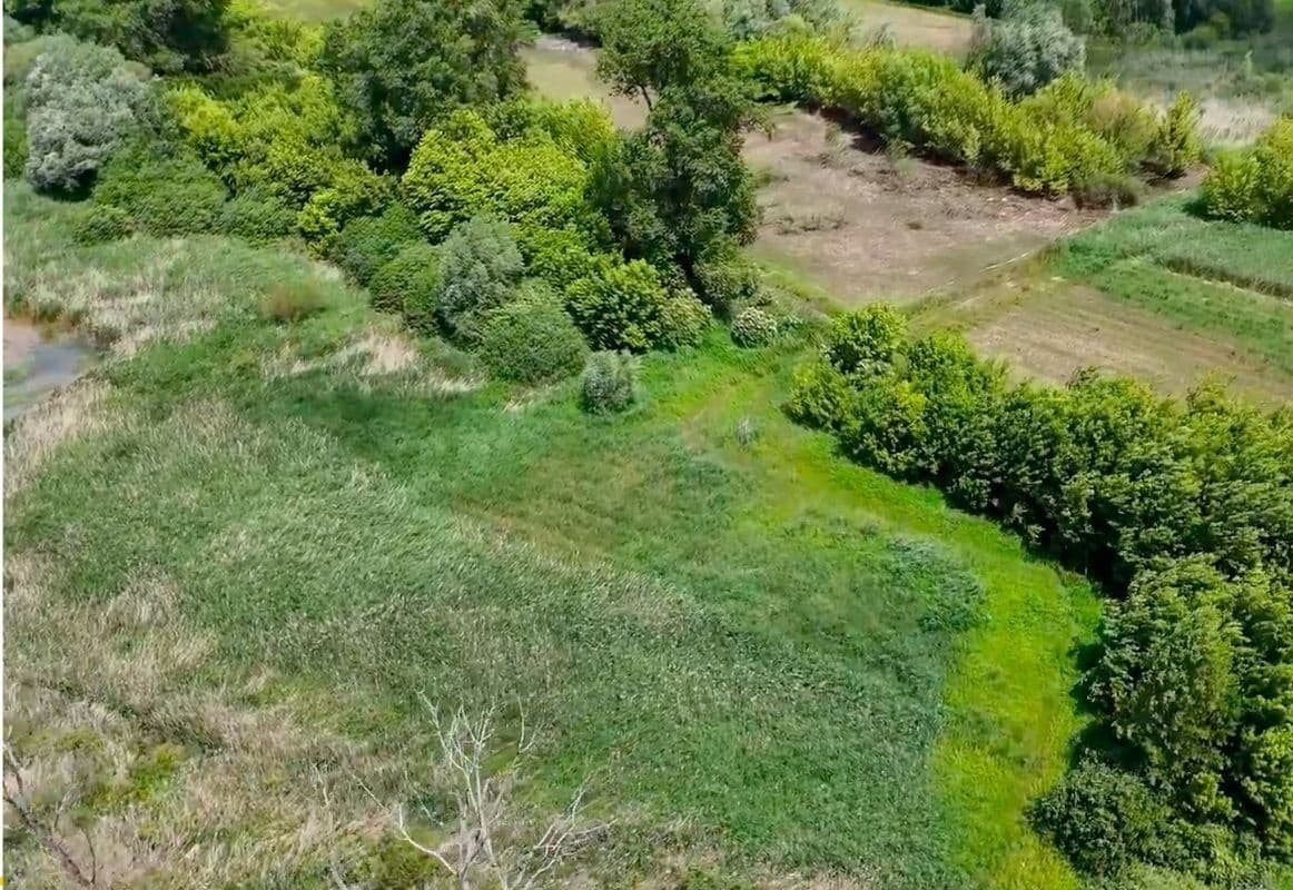 Prodej pozemku 21.655 m², Hovorany, Jihomoravský kraj Prodej pozemku 21.655 m², Hovorany, Jihomoravský kraj