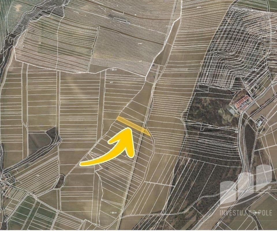 Prodej pozemku 3.836 m², Osvětimany, Zlínský kraj Prodej pozemku 3.836 m², Osvětimany, Zlínský kraj