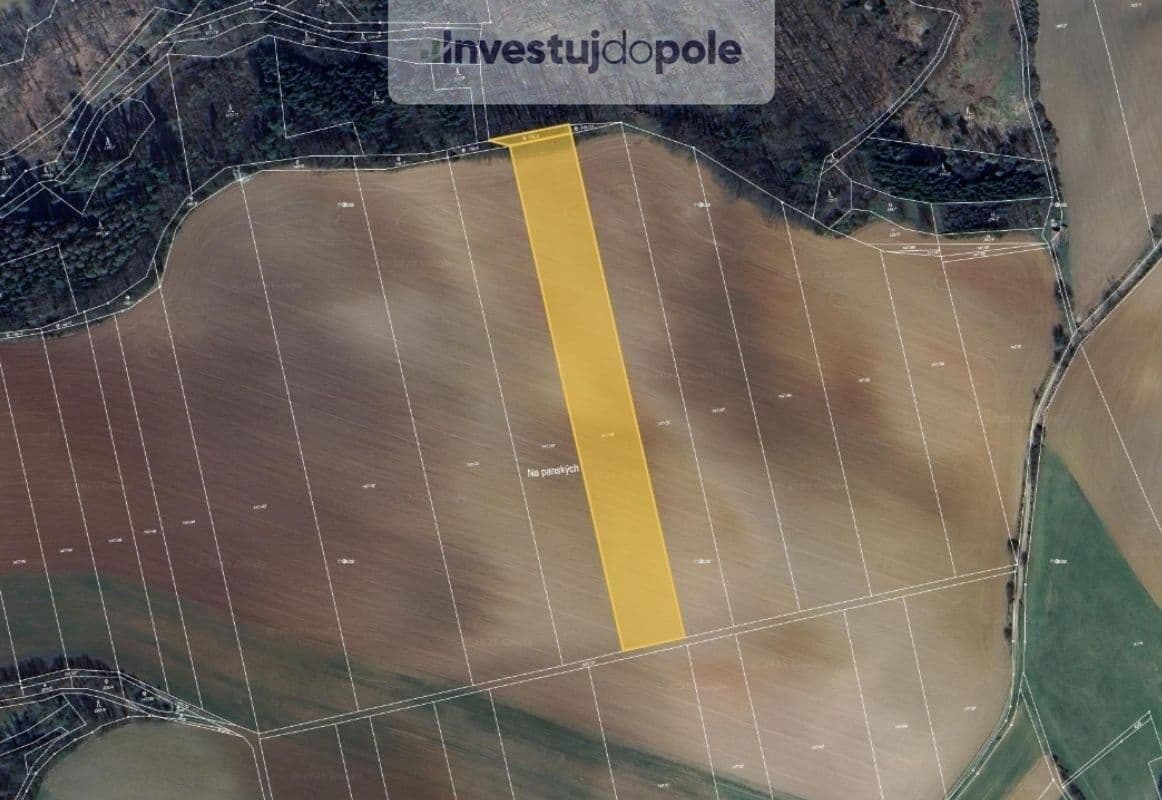 Prodej pozemku 10.240 m², Letovice, Jihomoravský kraj Prodej pozemku 10.240 m², Letovice, Jihomoravský kraj