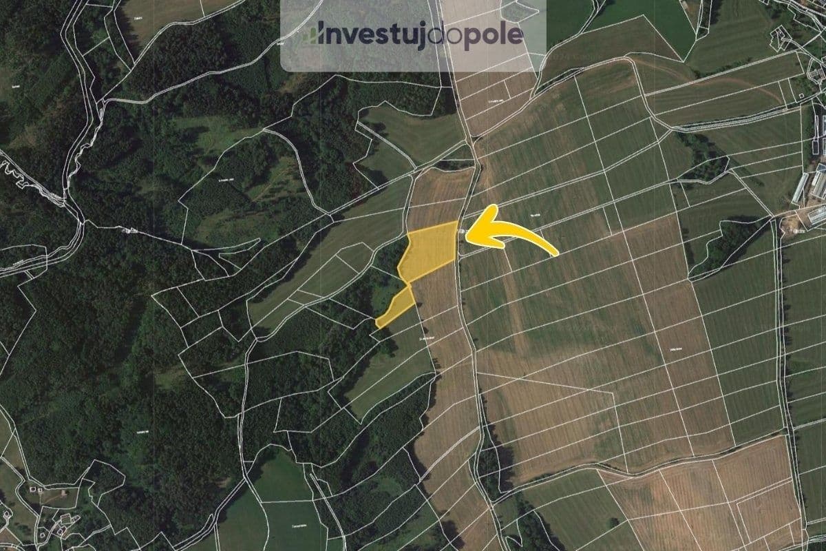 Prodej pozemku 15.205 m², Úbislavice, Královéhradecký kraj Prodej pozemku 15.205 m², Úbislavice, Královéhradecký kraj