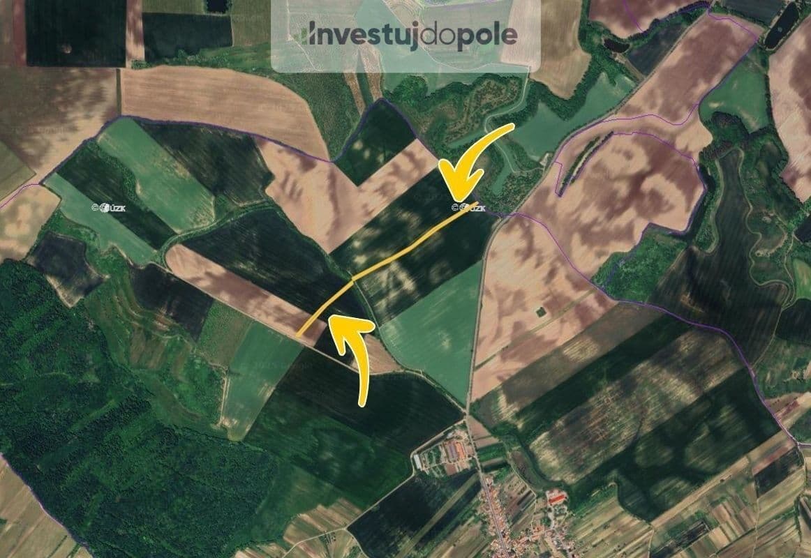Prodej pozemku 8.100 m², Čejkovice, Jihomoravský kraj Prodej pozemku 8.100 m², Čejkovice, Jihomoravský kraj