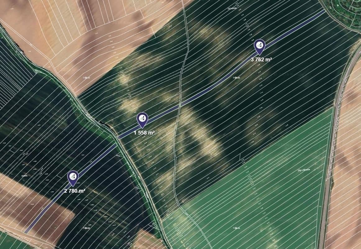 Prodej pozemku 8.100 m², Čejkovice, Jihomoravský kraj Prodej pozemku 8.100 m², Čejkovice, Jihomoravský kraj