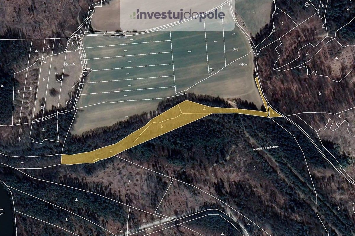 Prodej pozemku 13.682 m², Volfířov, Jihočeský kraj Prodej pozemku 13.682 m², Volfířov, Jihočeský kraj