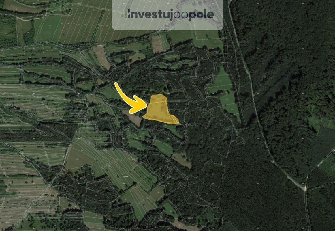 Prodej pozemku 2.938 m², Velká nad Veličkou, Jihomoravský kraj Prodej pozemku 2.938 m², Velká nad Veličkou, Jihomoravský kraj