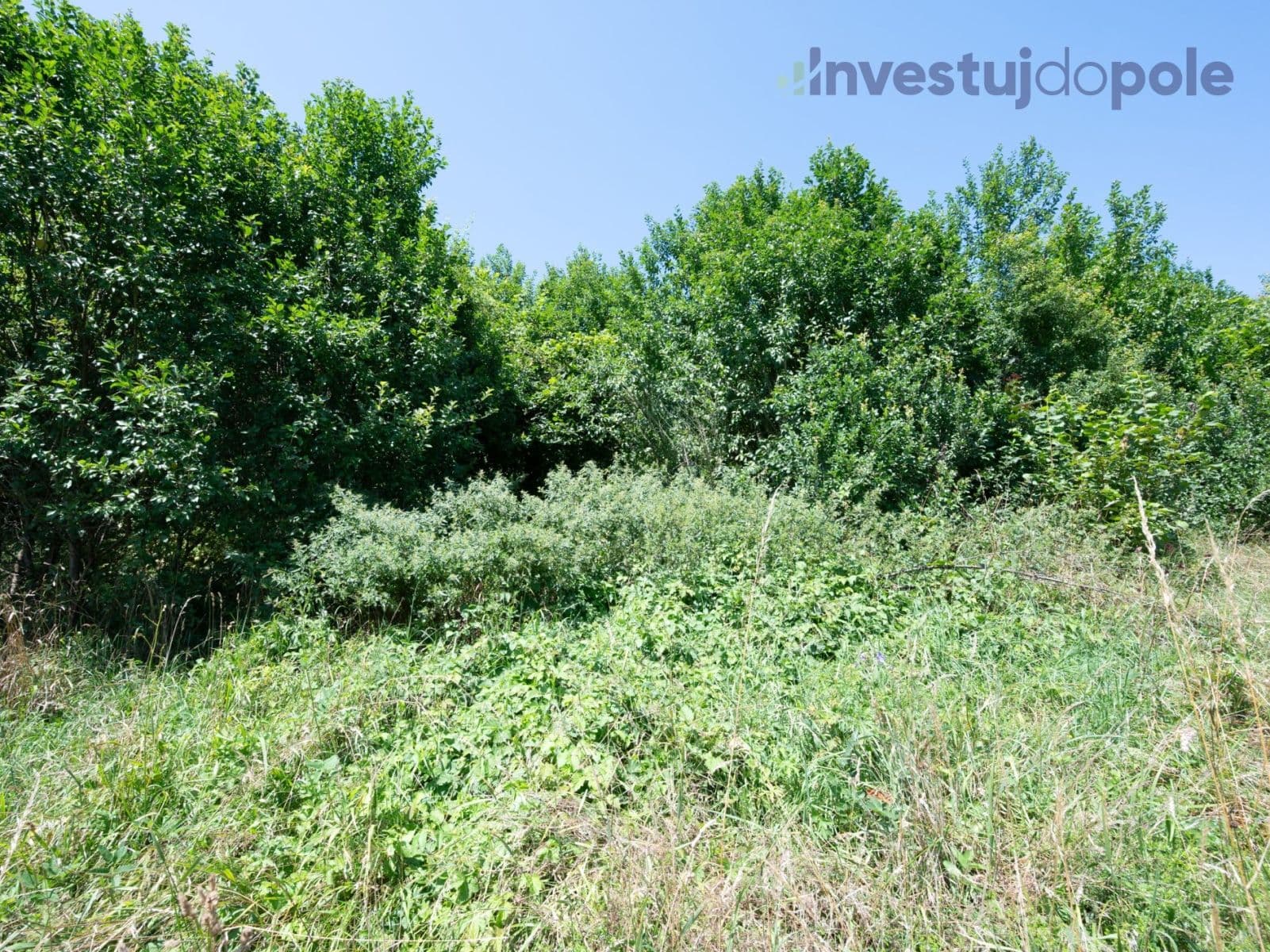 Prodej pozemku 2.240 m², Hrubá Skála, Liberecký kraj Prodej pozemku 2.240 m², Hrubá Skála, Liberecký kraj
