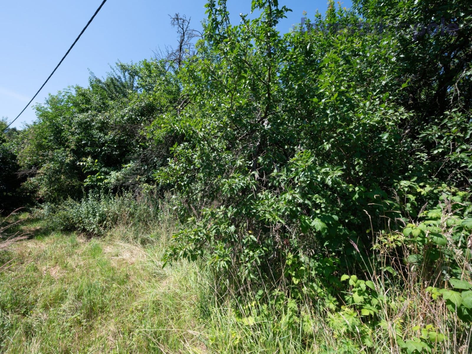 Prodej pozemku 2.240 m², Hrubá Skála, Liberecký kraj Prodej pozemku 2.240 m², Hrubá Skála, Liberecký kraj