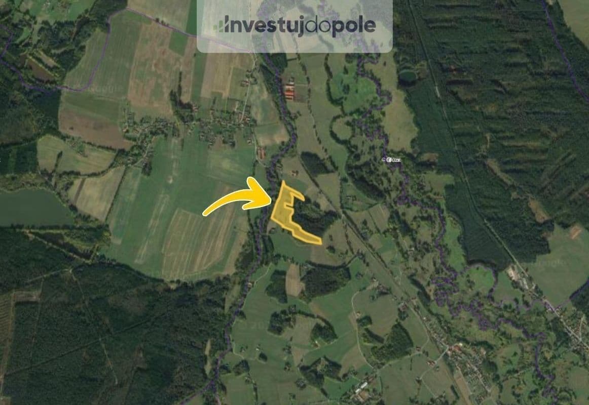 Prodej pozemku 54.200 m², Dvory nad Lužnicí, Jihočeský kraj Prodej pozemku 54.200 m², Dvory nad Lužnicí, Jihočeský kraj