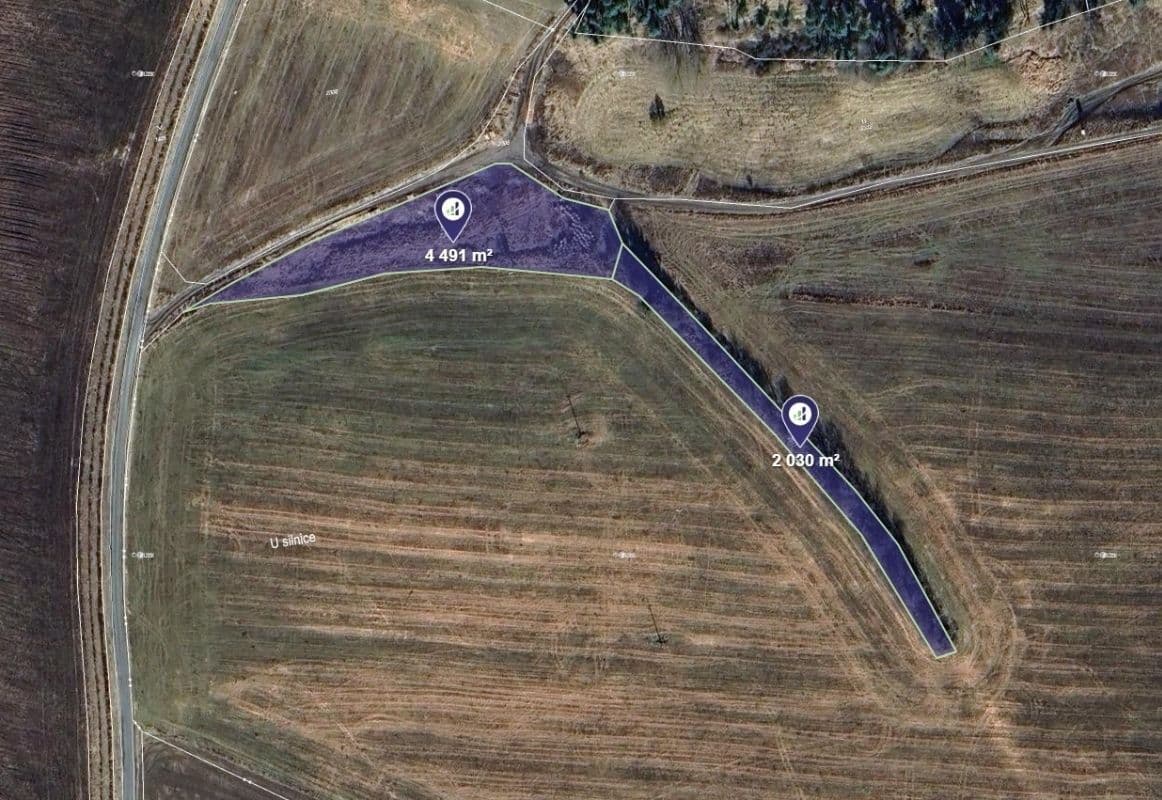 Prodej pozemku 17.635 m², Planá, Plzeňský kraj Prodej pozemku 17.635 m², Planá, Plzeňský kraj