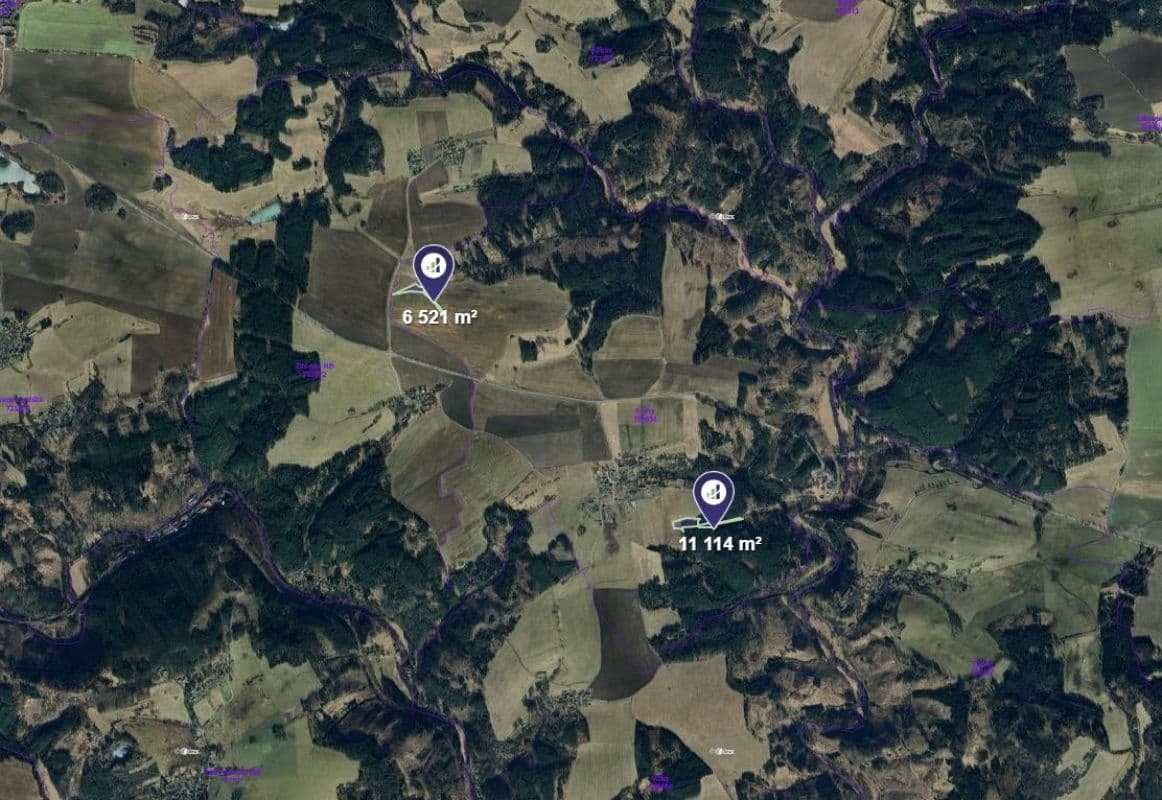 Prodej pozemku 17.635 m², Planá, Plzeňský kraj Prodej pozemku 17.635 m², Planá, Plzeňský kraj