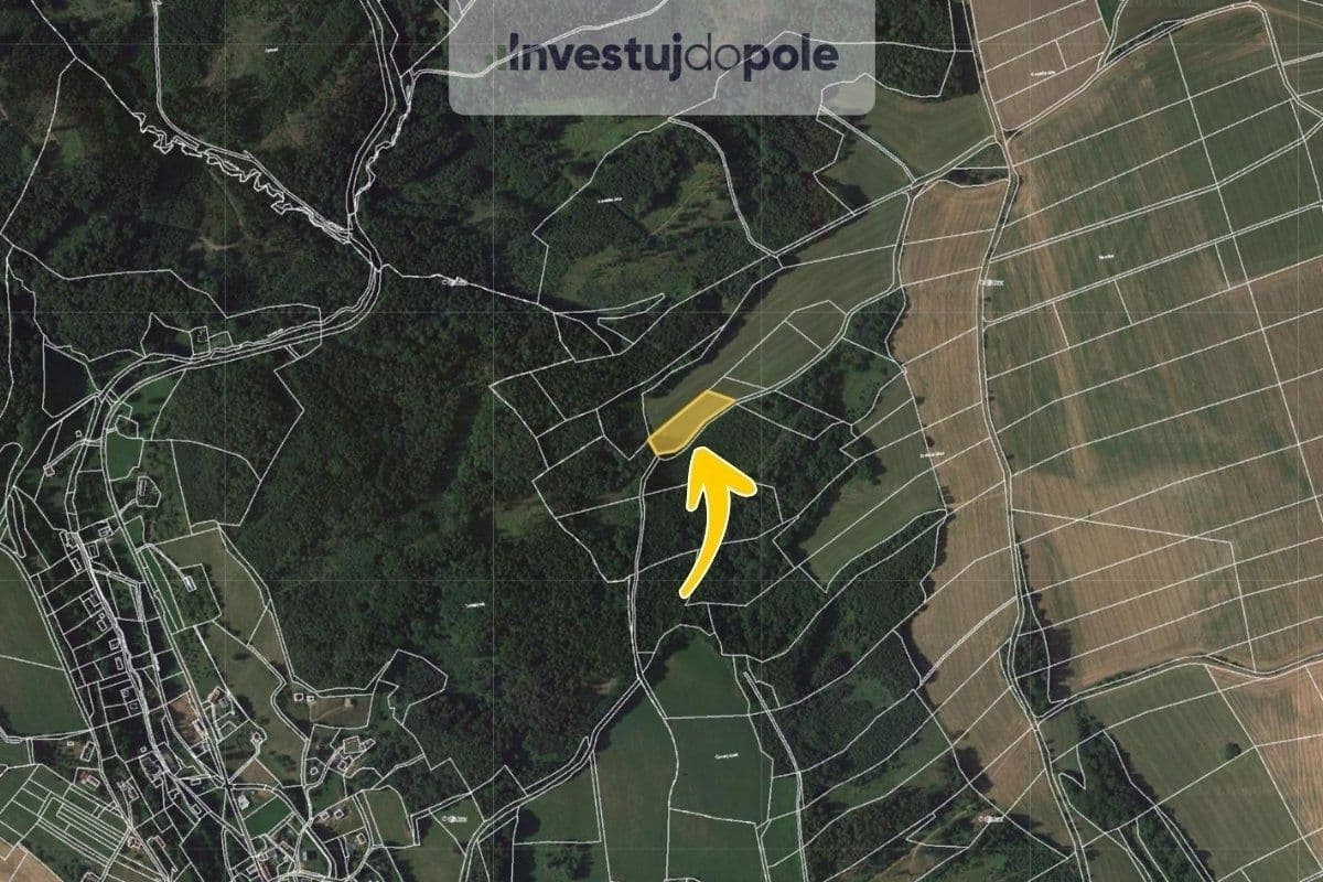 Prodej pozemku 4.244 m², Úbislavice, Královéhradecký kraj Prodej pozemku 4.244 m², Úbislavice, Královéhradecký kraj