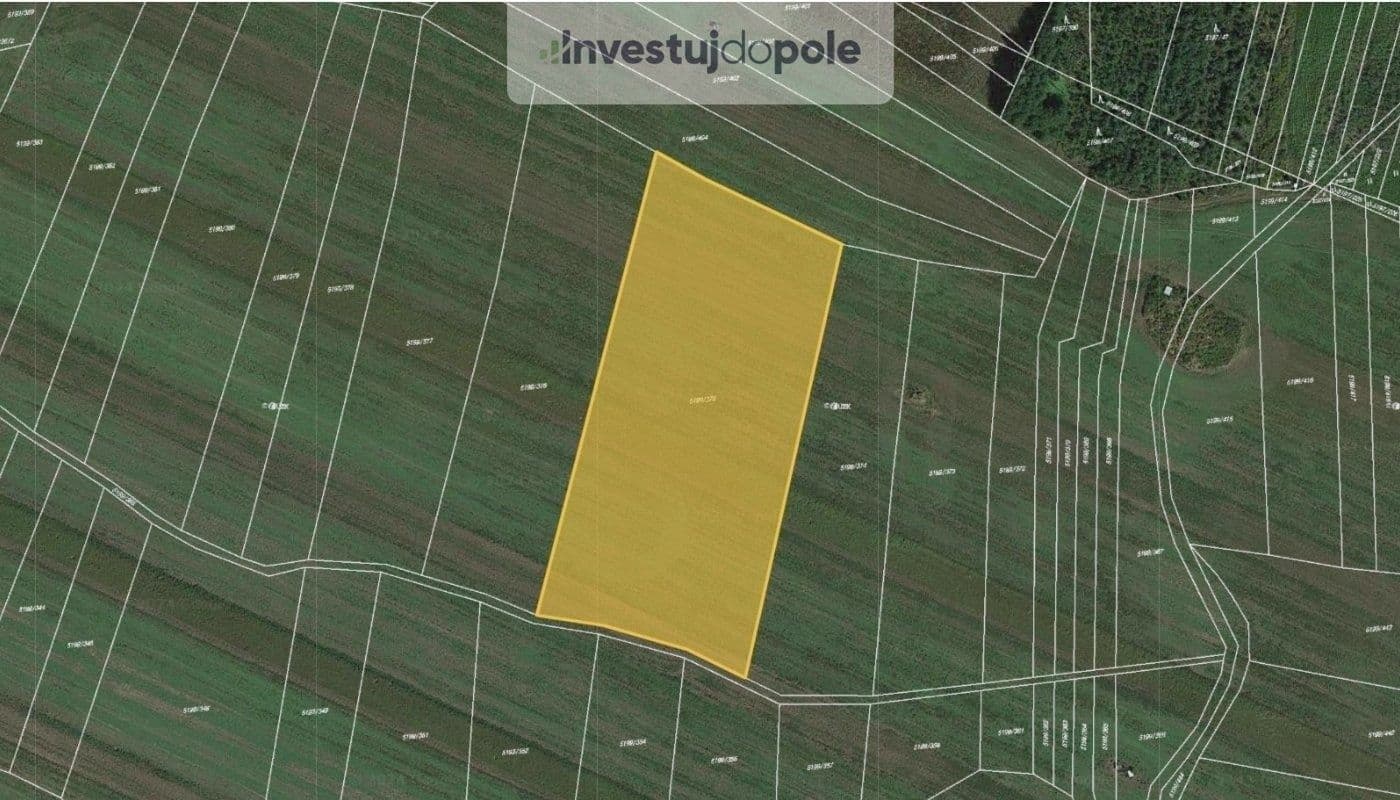 Prodej pozemku 3.029 m², Bzenec, Jihomoravský kraj Prodej pozemku 3.029 m², Bzenec, Jihomoravský kraj
