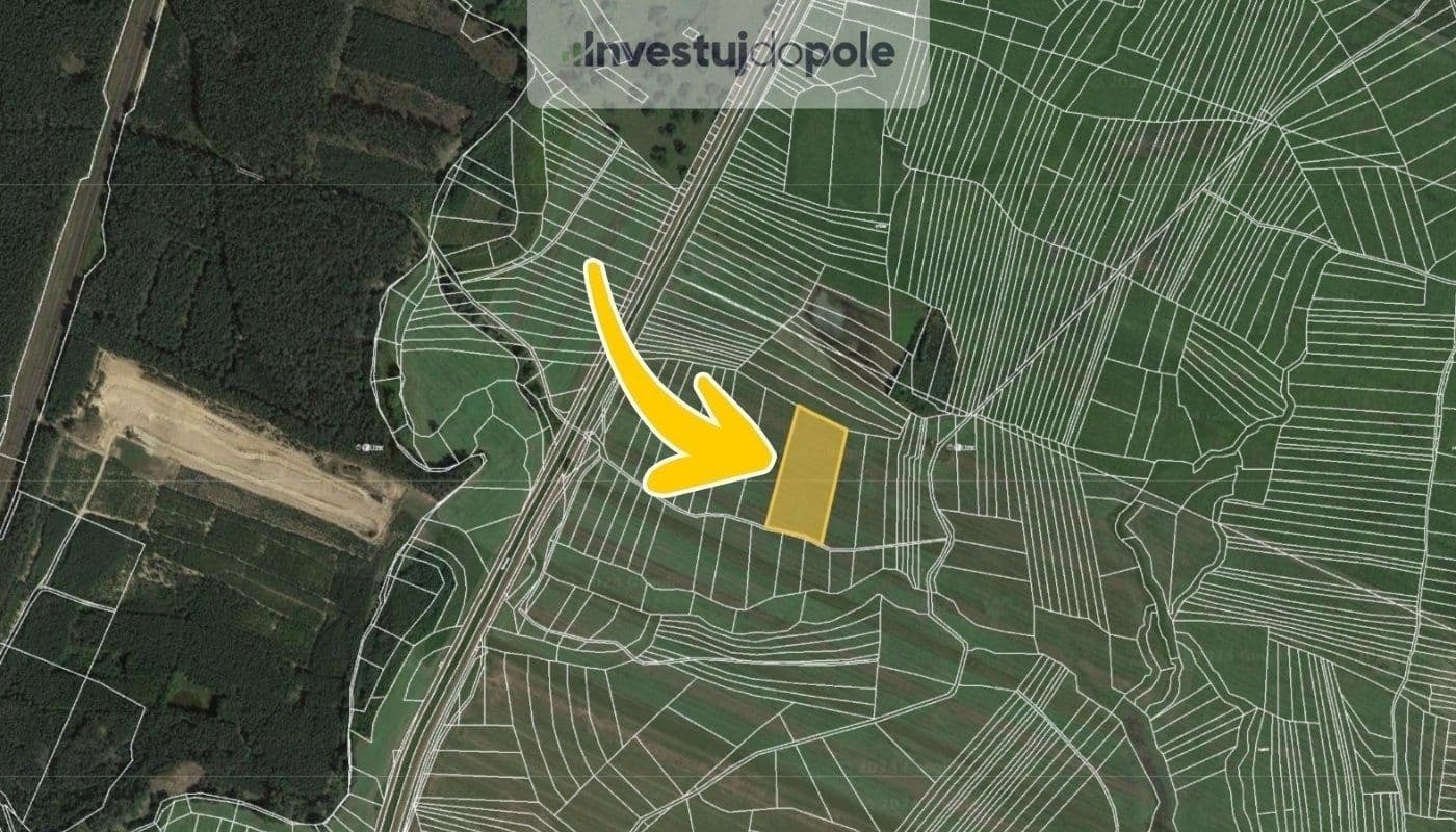 Prodej pozemku 3.029 m², Bzenec, Jihomoravský kraj Prodej pozemku 3.029 m², Bzenec, Jihomoravský kraj