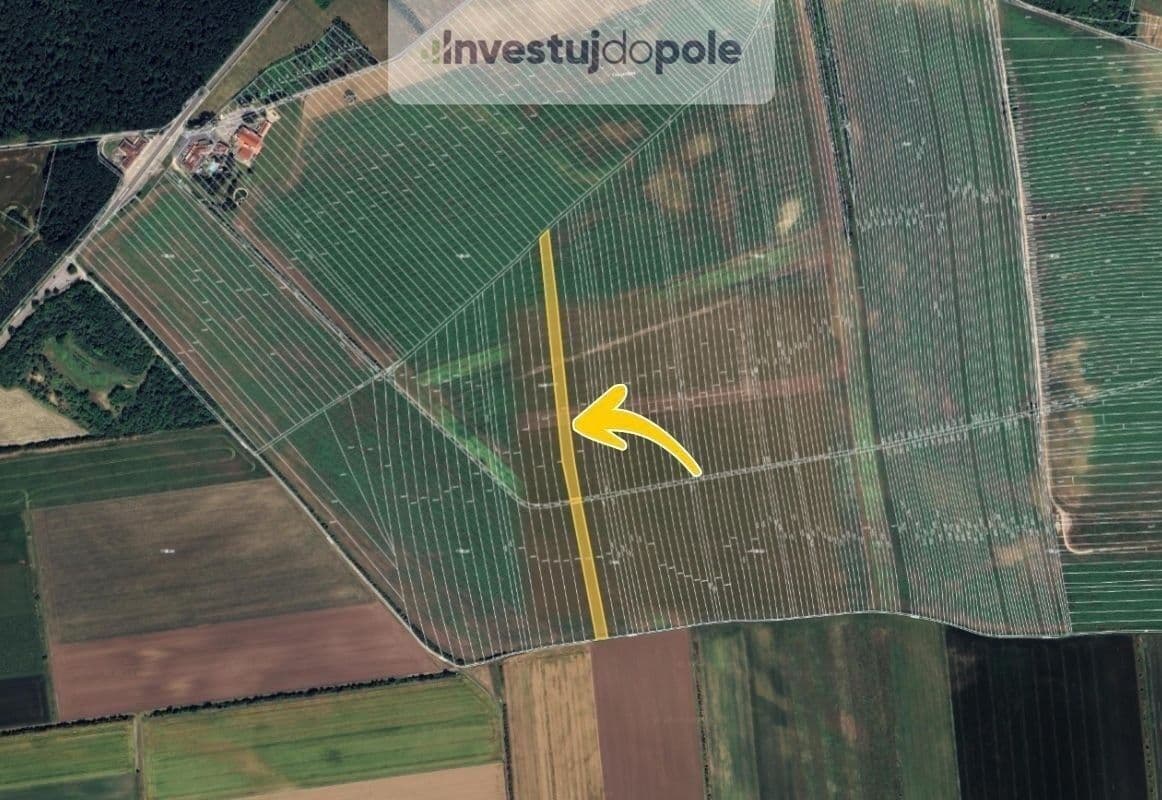 Prodej pozemku 8.042 m², Břeclav, Jihomoravský kraj Prodej pozemku 8.042 m², Břeclav, Jihomoravský kraj