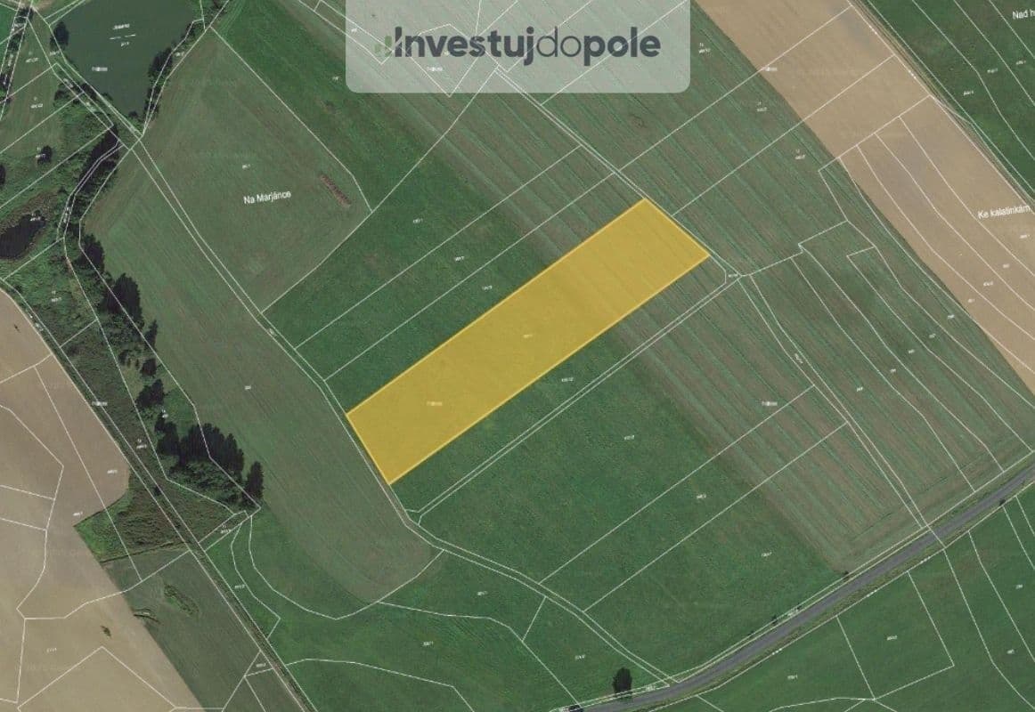 Prodej pozemku 11.102 m², Běhařov, Plzeňský kraj Prodej pozemku 11.102 m², Běhařov, Plzeňský kraj