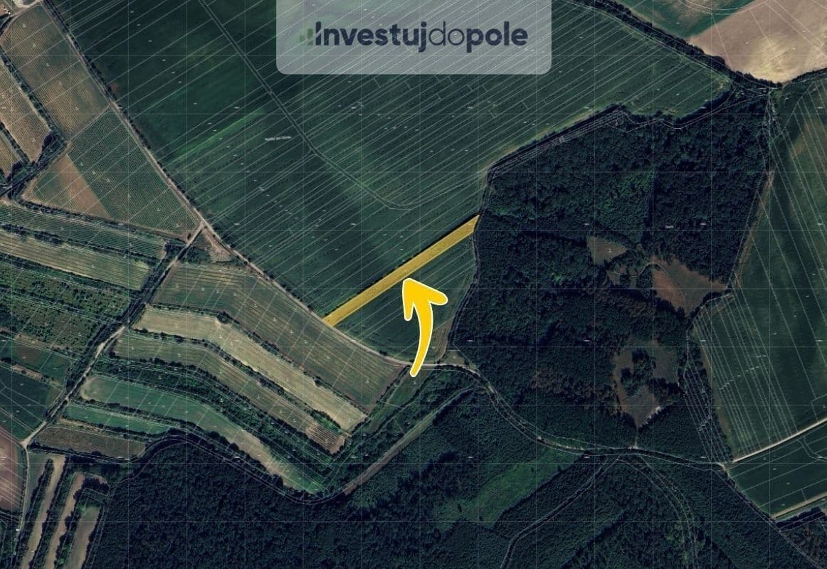 Prodej pozemku 5.482 m², Hovorany, Jihomoravský kraj Prodej pozemku 5.482 m², Hovorany, Jihomoravský kraj