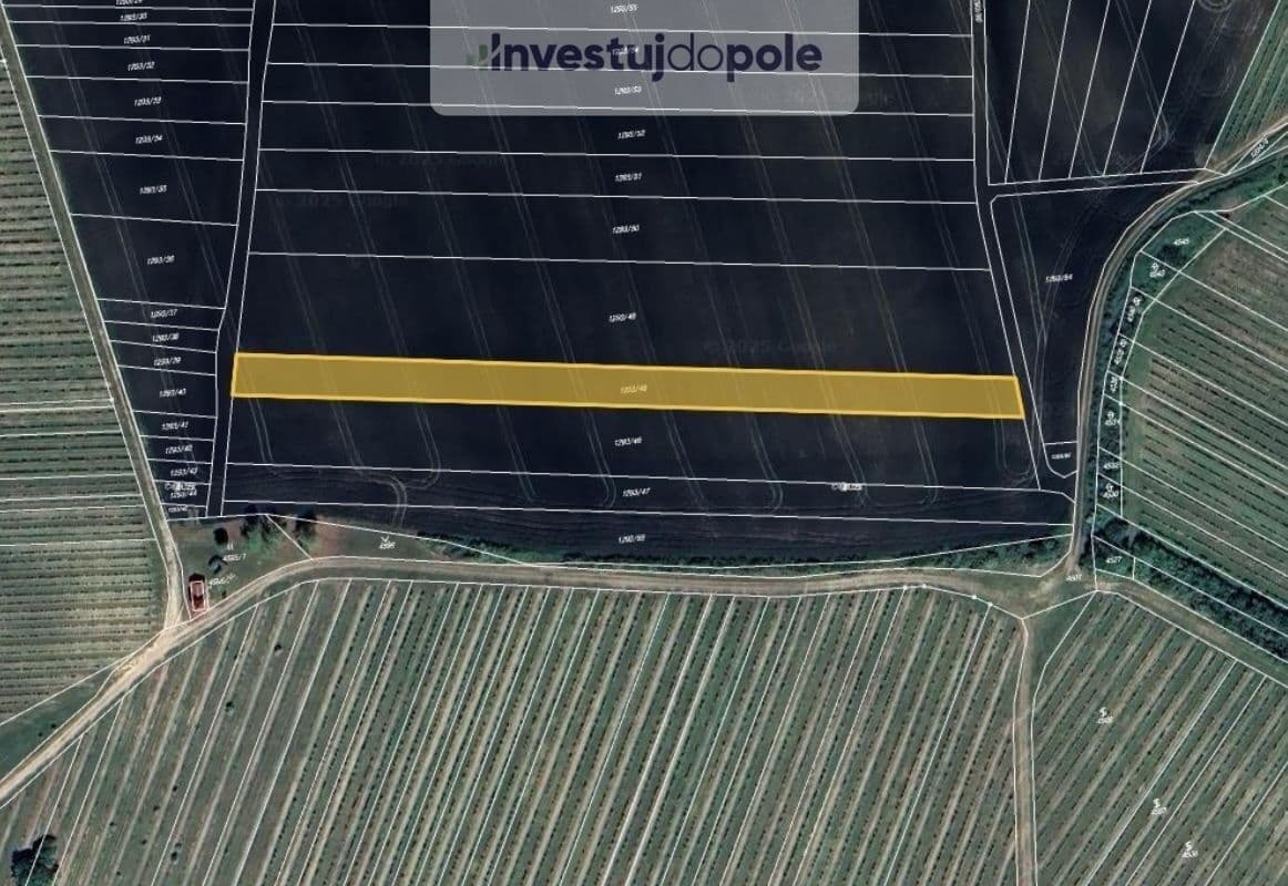 Prodej pozemku 2.804 m², Starovičky, Jihomoravský kraj Prodej pozemku 2.804 m², Starovičky, Jihomoravský kraj