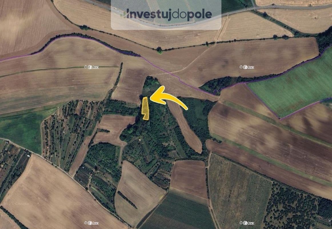 Prodej pozemku 2.854 m², Svatobořice-Mistřín, Jihomoravský kraj Prodej pozemku 2.854 m², Svatobořice-Mistřín, Jihomoravský kraj