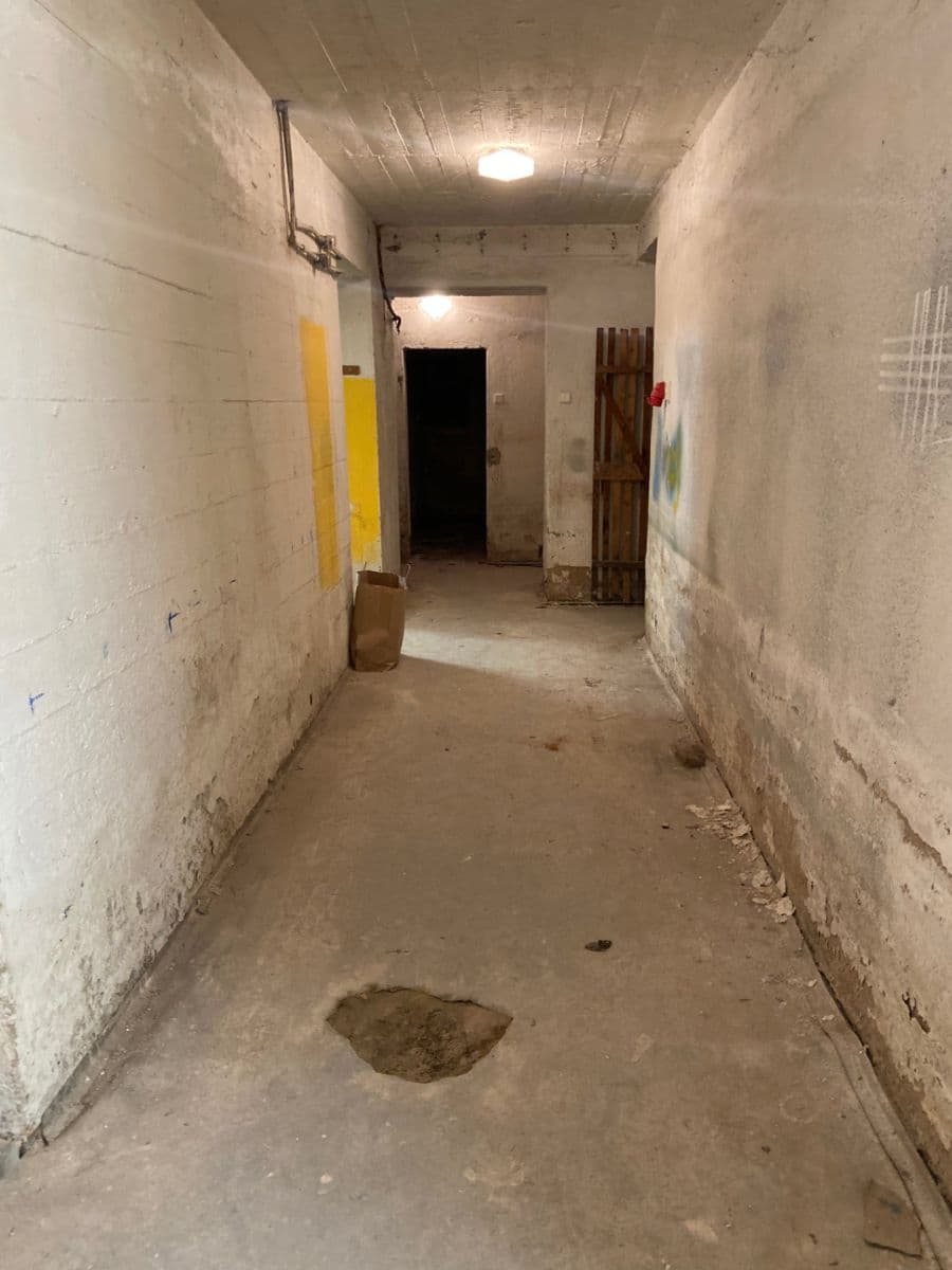 Pronájem nebytového prostoru 170 m², K Vodojemu, Praha, Praha Pronájem nebytového prostoru 170 m², K Vodojemu, Praha, Praha