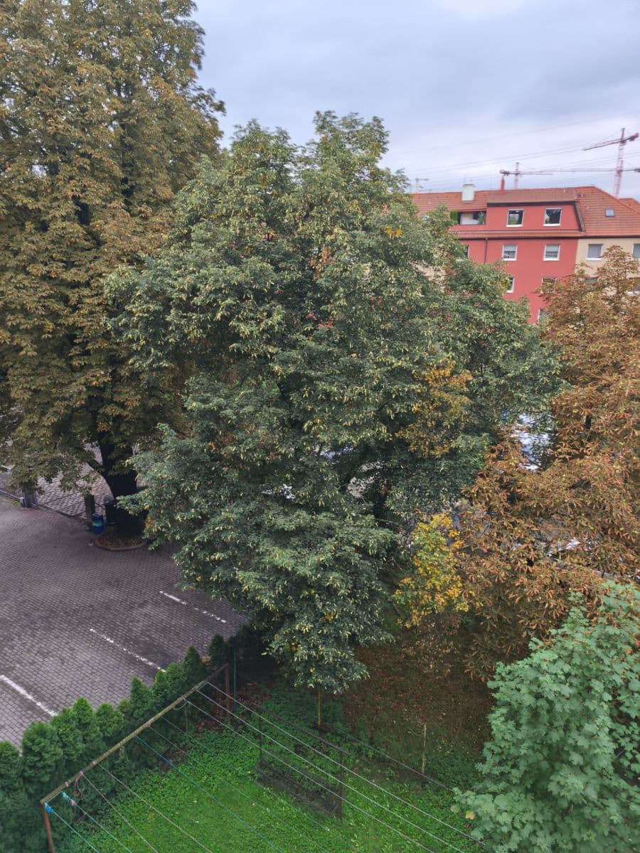 Pronájem bytu Garsoniéra 27 m², Kbelská, Praha, Praha Pronájem bytu Garsoniéra 27 m², Kbelská, Praha, Praha