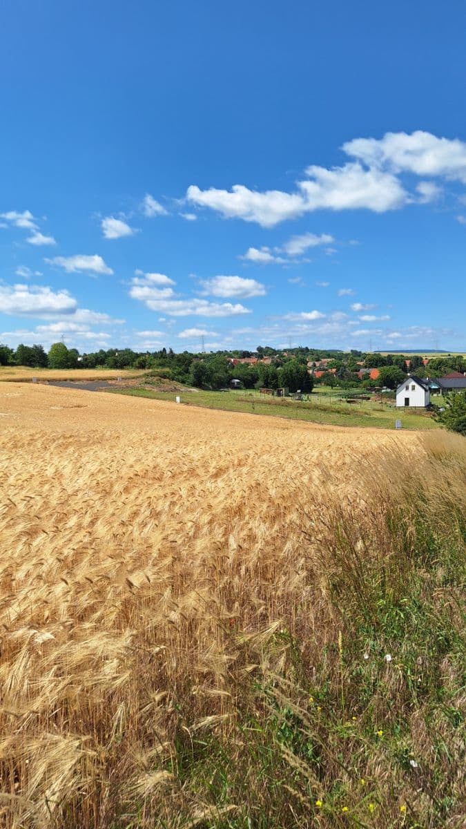 Prodej pozemku 950 m², Líšťany, Ústecký kraj Prodej pozemku 950 m², Líšťany, Ústecký kraj